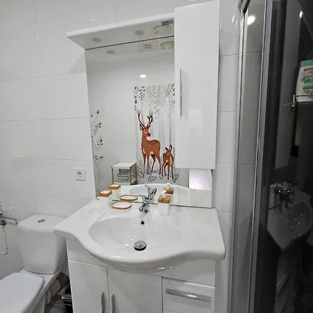 Apartamento Alpine Spirit *