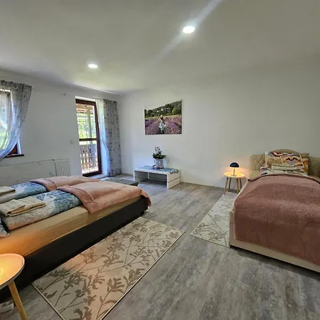 Lejlighed Alpine Spirit