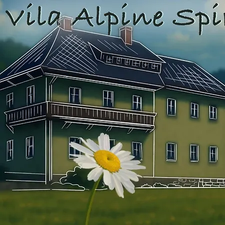 Διαμέρισμα Alpine Spirit *