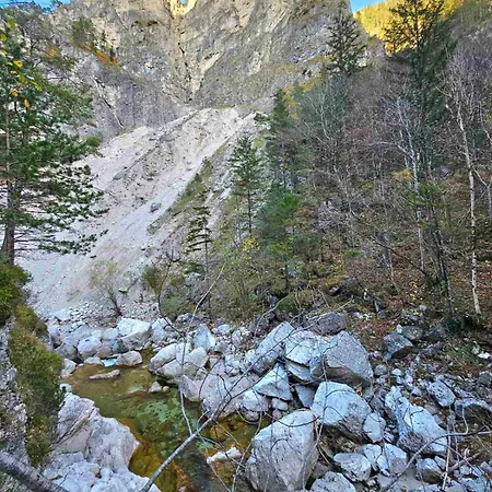 Alpine Spirit Apartment