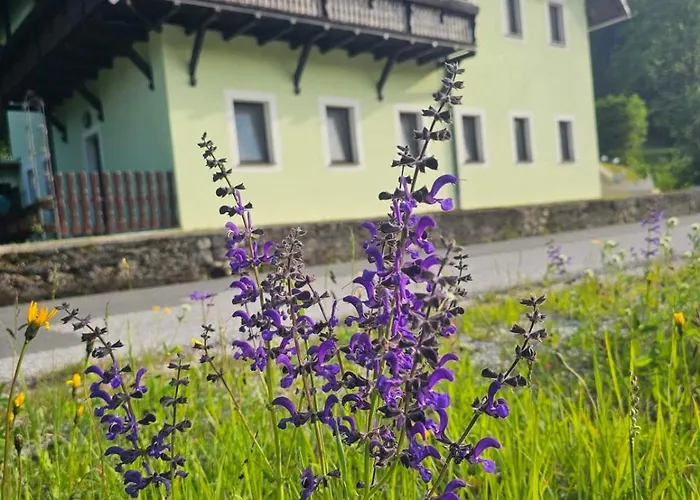 Alpine Spirit Gösing an der Mariazeller Bahn